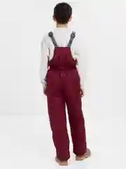 Бордовый зимний полукомбинезон, на мальчика, на девочку, Arctic kids