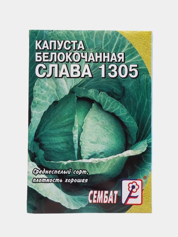 Капуста Слава 1305 Описание Сорта Фото