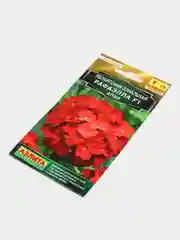 Пеларгония "Рафаэлла" алая (семена, цветы)