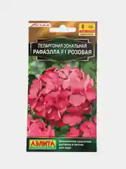 Пеларгония "Рафаэлла" розовая, семена, цветы