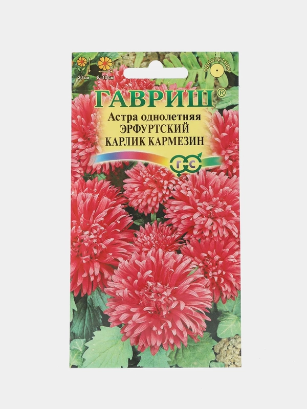 Астра "Эрфуртский карлик кармезин" (семена, цветы)