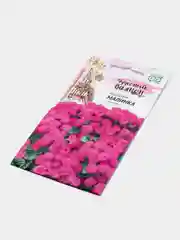 Агератум Малинка (семена, цветы)