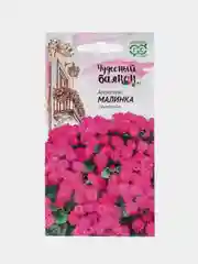 Агератум Малинка (семена, цветы)