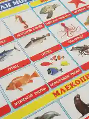 Алый плакат Обитатели морей и океанов. Рыбы речные. Наглядное пособие для детского сада и школы