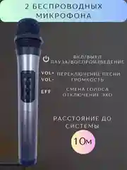 Черный стереосистема для дома с двумя микрофонами, Bluetooth колонка, саундбар, караоке домашнее