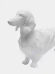 Белый футболка для собак и кошек, майка, одежда