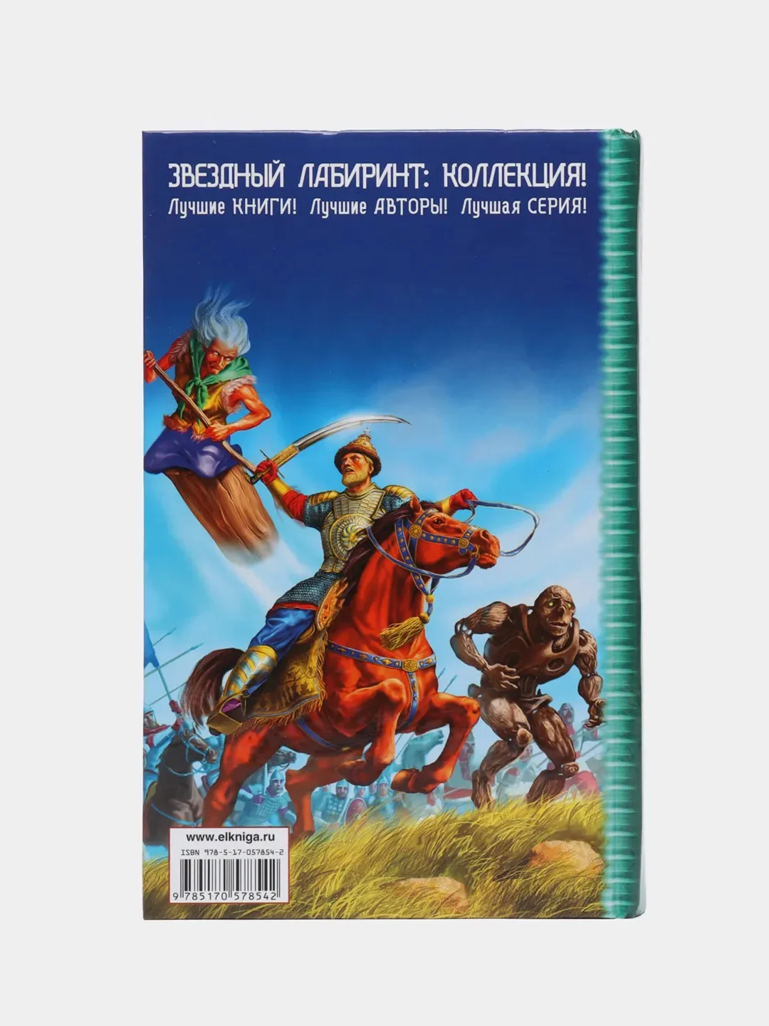 Книга "Сеятель бурь. Железный сокол Гардарики", историческая фантастика