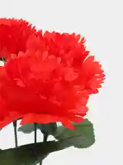 Искусственные цветы, гвоздика красная 5 шт, декор для дома