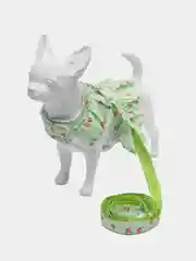 Зеленый платье для собак и кошек одежда шлейка
