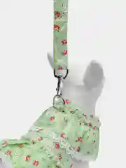 Зеленый платье для собак и кошек одежда шлейка