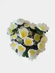 Тёмно-розовый искусственные цветы "Камелии", букет распущенных камелий