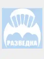 Белый наклейка на авто / машину / стекло "Разведка", 15 х 14 см