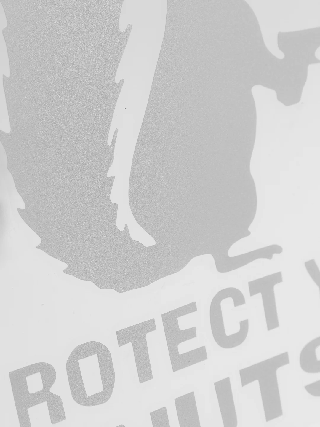 Белый наклейка на авто "Protect your nuts"