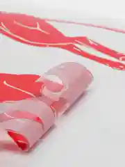 Алый наклейки на авто  "Хищники"
