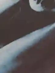 Серый наклейка на авто "Ужасы"