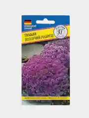 Тимьян ползучий чабрец (семена,цветы)