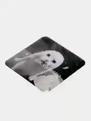 Коралловый 3d наклейки на телефон, несколько видов