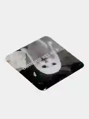 Коралловый 3d наклейки на телефон, несколько видов