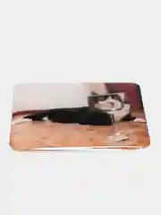 Коралловый 3d наклейки на телефон, несколько видов