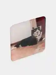 Коралловый 3d наклейки на телефон, несколько видов
