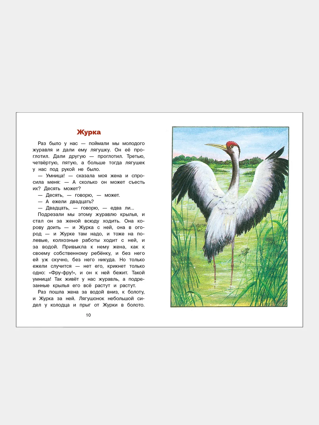 Ребята и утята