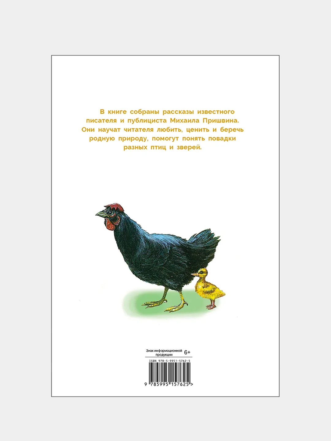 Ребята и утята