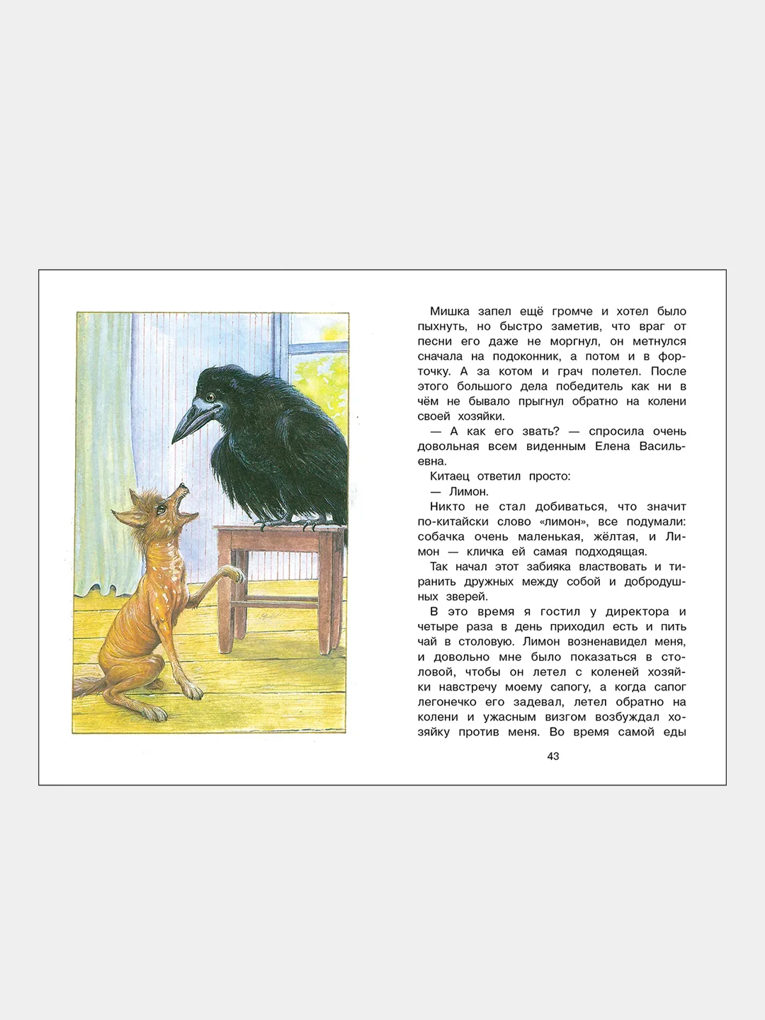 Ребята и утята