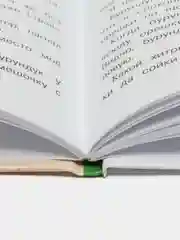 Хитрый бурундук