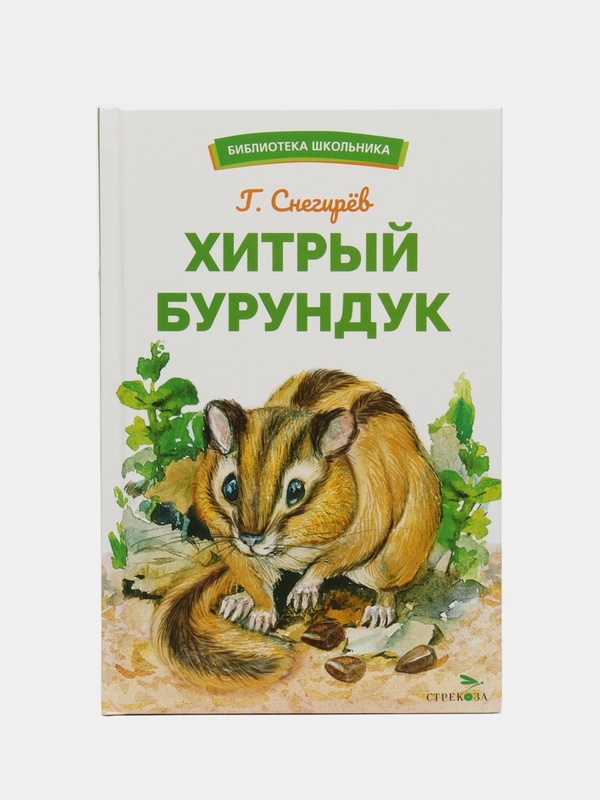 Хитрый бурундук
