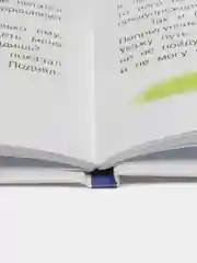 Домовенок Кузька и его сундучок