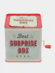 Музыкальная шкатулка с сюрпризом SURPRISE BOX Happy Baby