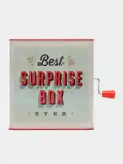 Музыкальная шкатулка с сюрпризом SURPRISE BOX Happy Baby