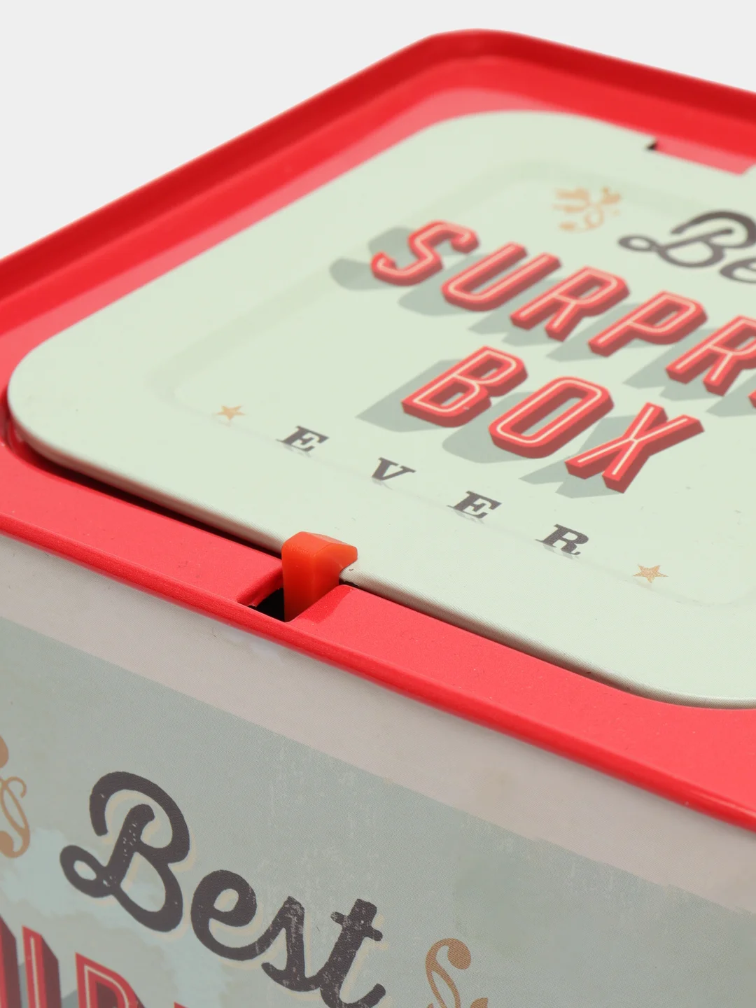 Музыкальная шкатулка с сюрпризом SURPRISE BOX Happy Baby