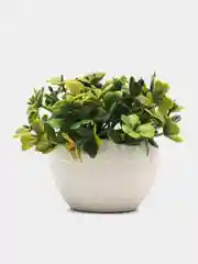 Разноцветный цветок искусственный в керамическом горшке 6х9 см