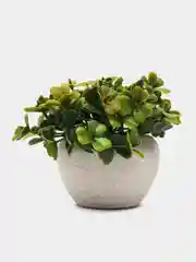 Разноцветный цветок искусственный в керамическом горшке 6х9 см