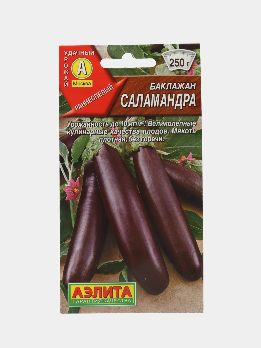 Фиолетовый семена Баклажана
