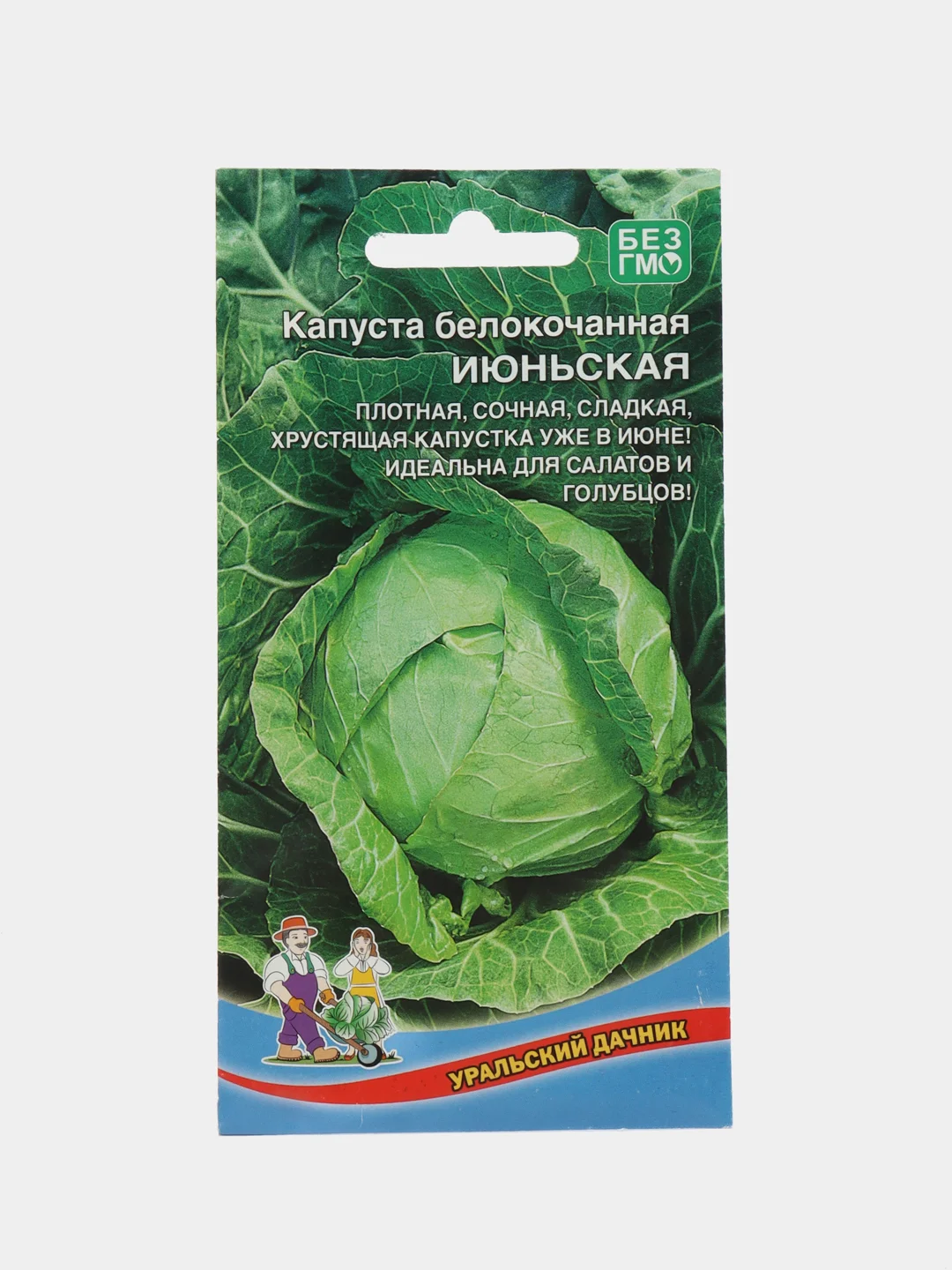 Лесной зеленый семена Капуста белокочанная