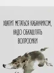 Открытка "Хватит метаться кабанчиком"
