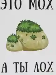 Откртыка "Это мох а ты лох"