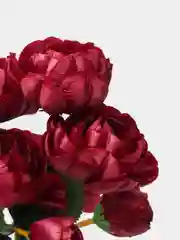 Багровый искусственные цветы, букет цветов, камелии, пионы, высота 37см, 11 бутонов