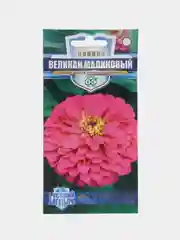 Конфетный цинния крупноцветковая 6 видов, семена цветов