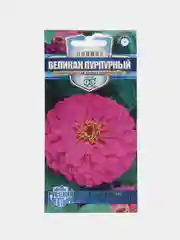 Пурпурный цинния крупноцветковая 6 видов, семена цветов