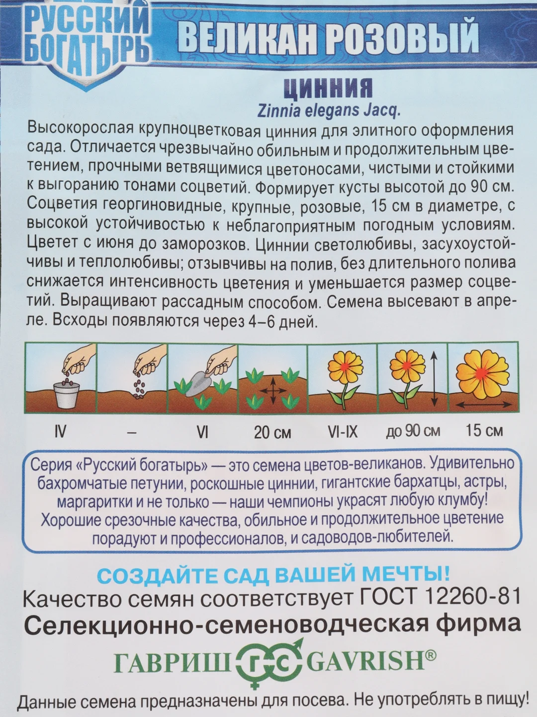 Розовый цинния крупноцветковая 6 видов, семена цветов