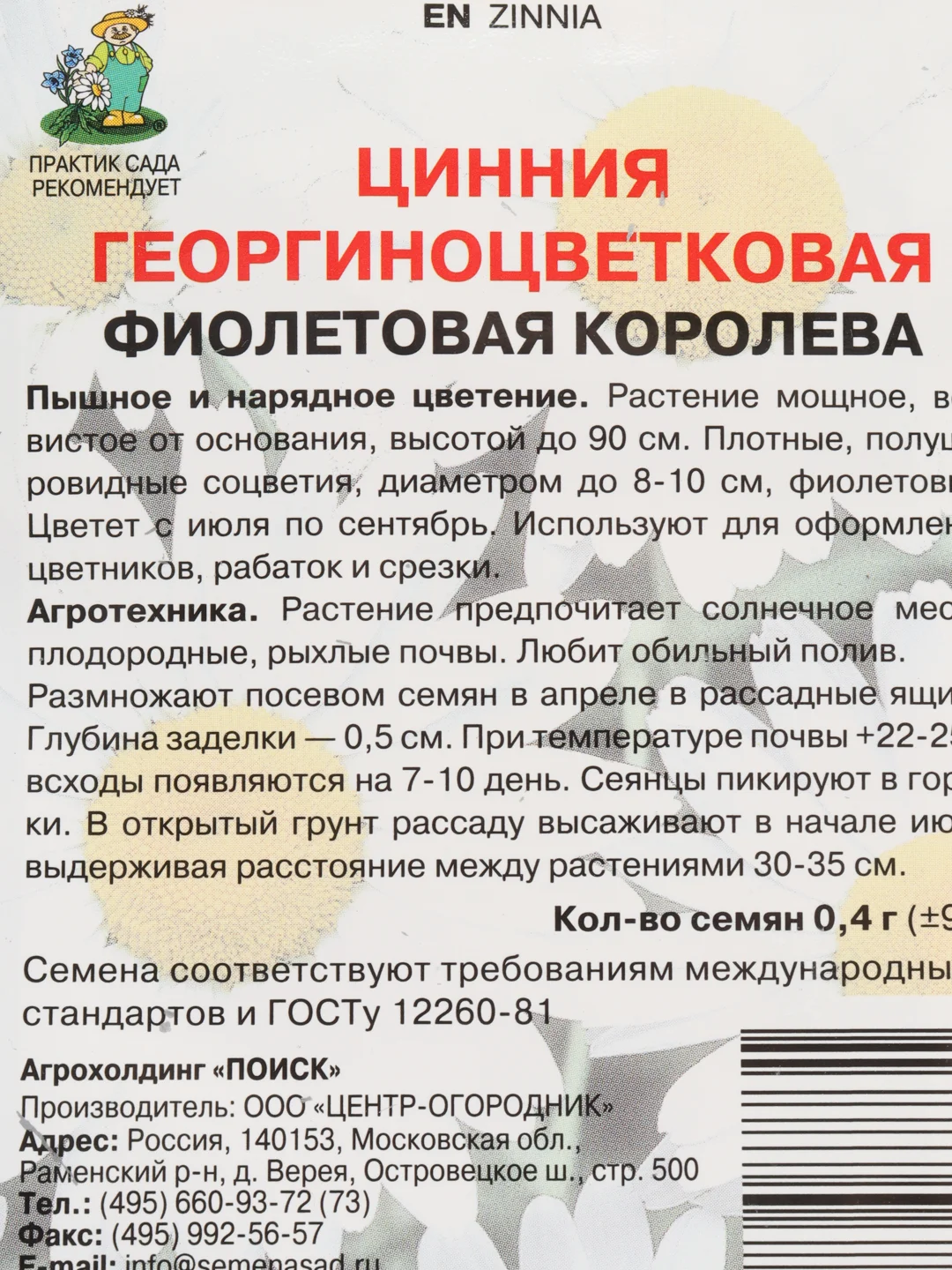 Фиолетовый цинния крупноцветковая 6 видов, семена цветов