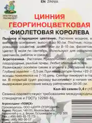 Фиолетовый цинния крупноцветковая 6 видов, семена цветов