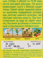 Аметистовый капуста цветная в ассортименте, семена