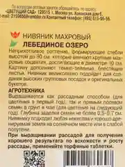 Бежевый нивяник в ассортименте,семена цветы