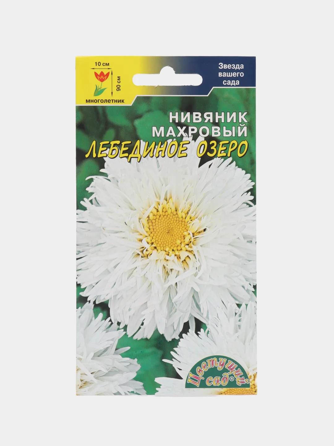 Бежевый нивяник в ассортименте,семена цветы