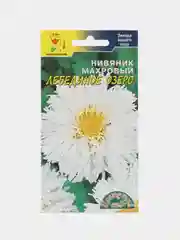 Бежевый нивяник в ассортименте,семена цветы