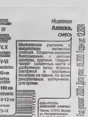 Кремовый нивяник в ассортименте,семена цветы
